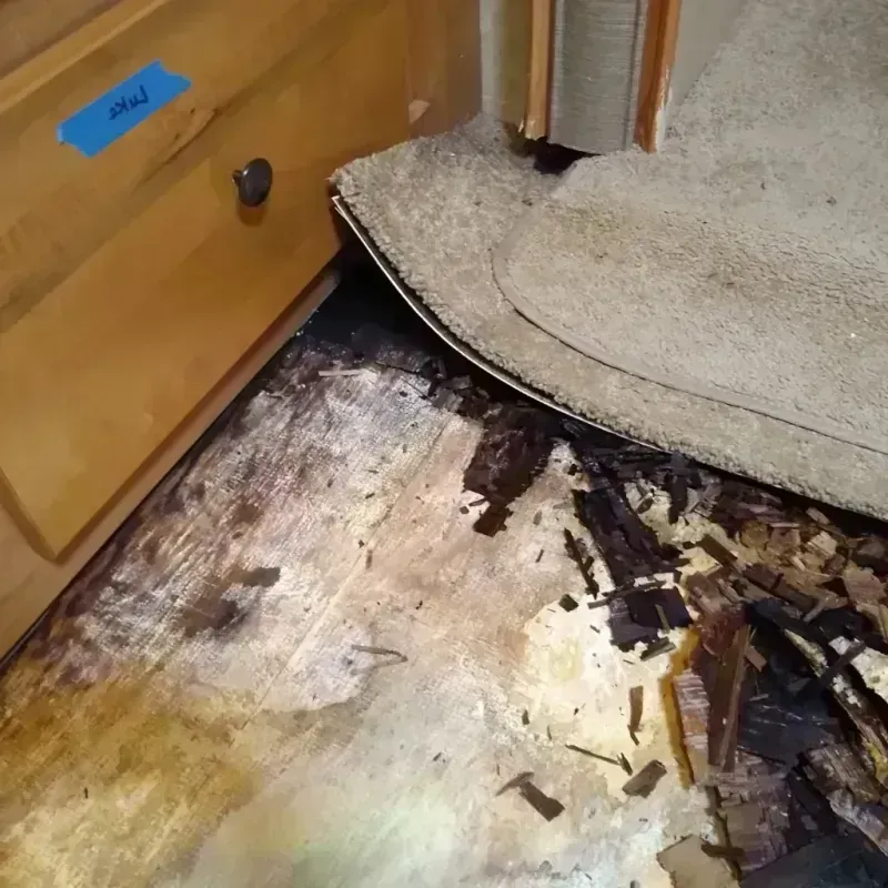 Wood Floor Water Damage in North Bel Air, MD